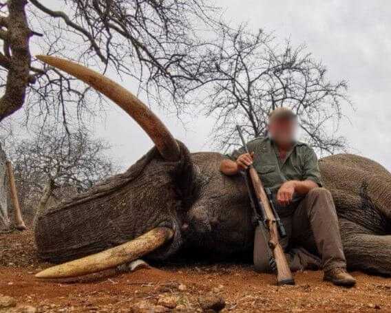 bb6350f1-126f-4e0d-ad49-38e3ebc4caab